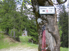 Spitzenbergeralm