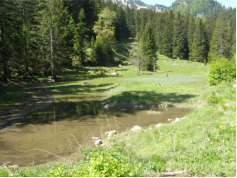 Am Fuße der Seisenalm