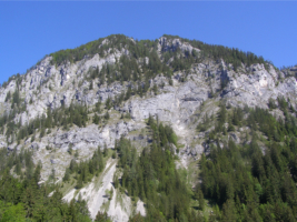 Pölzmauer