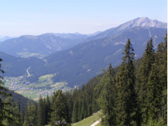 Blick auf Gosau und Gamsfeld beim Aufstieg zum Plassen