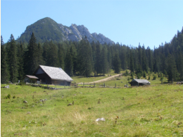 Rossalm