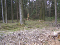 Hchster Punkt des Hamberg