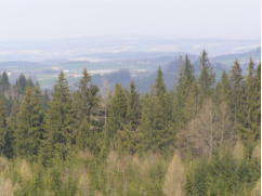 Blick von der Kobernauerwaldwarte hinein ins Innviertel