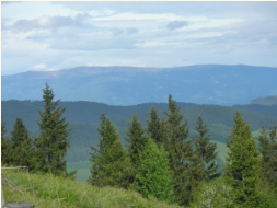 Blick vom Galler Berg auf die Saualpe