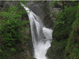 Trefflingfall